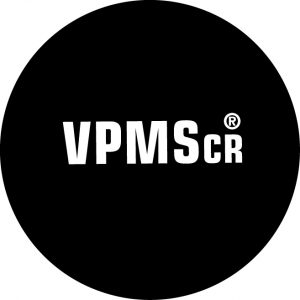 VPMScr (Veränderungsprozeß mit System) - Scheibe